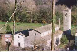 La rimozione dell'organo di Faltona