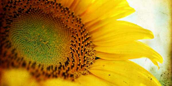 Giorno & Notte. Tutto il fine settimana in Mugello dal 5 al 7 settembre