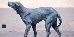 Borgo. Tutta la verità sull’abbattimento della statua di Fido.