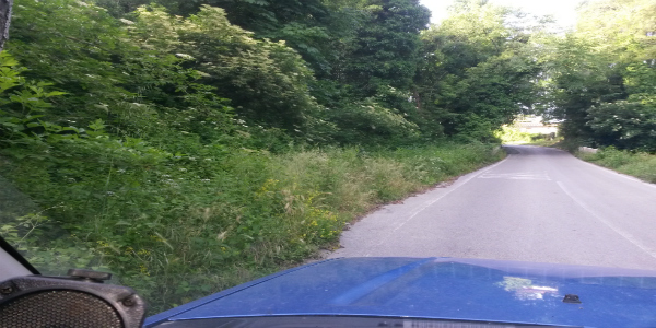 Frazione  Molezzano - degrado