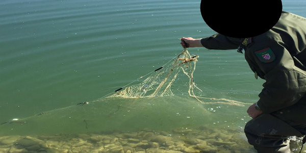 Pesca di frodo - rete rinvenuta 2