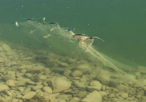 Pesca di frodo a Bilancino. Trovate nuove reti