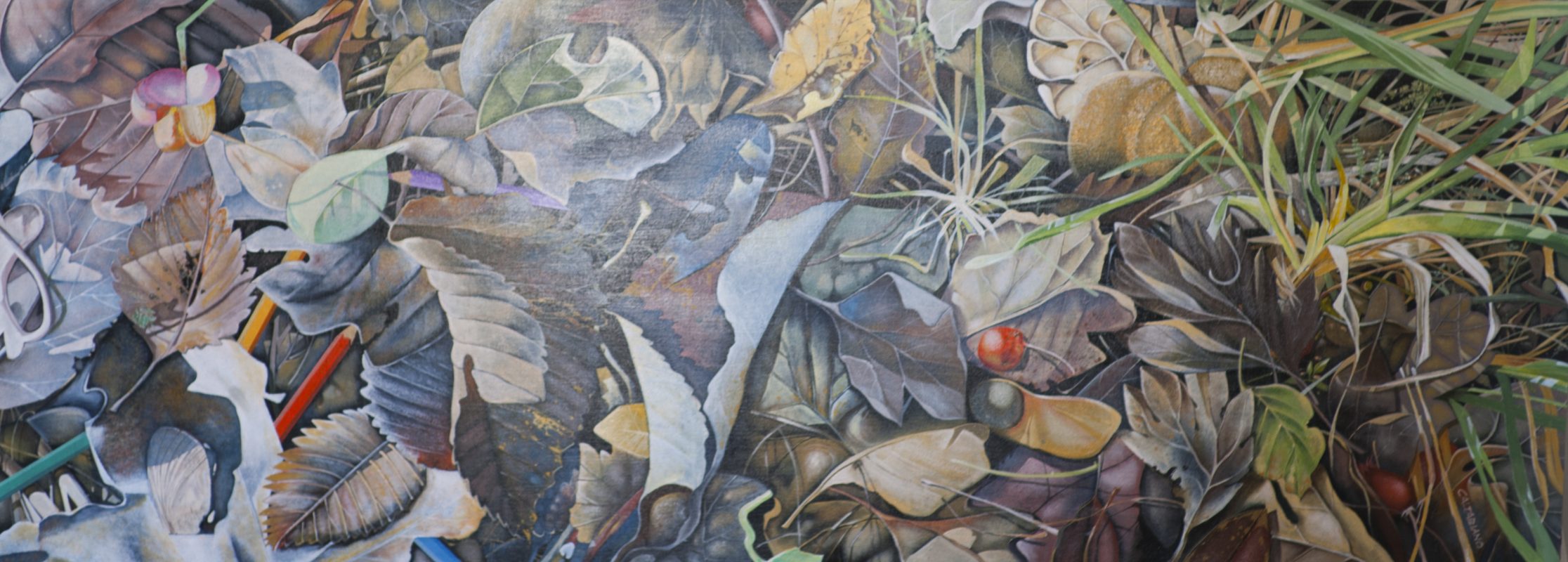 Acquerello e illustrazione botanica. Corso a Dicomano sulla 'bellezza nascosta'