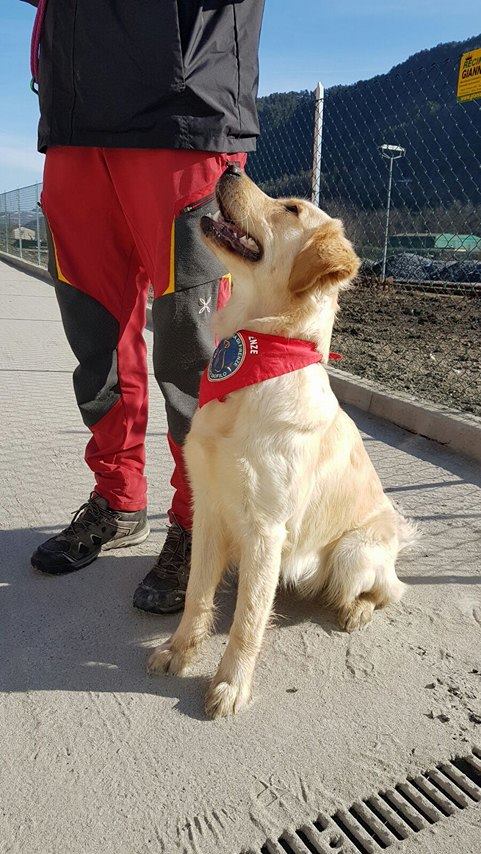 inaugurazione 118 marradi4