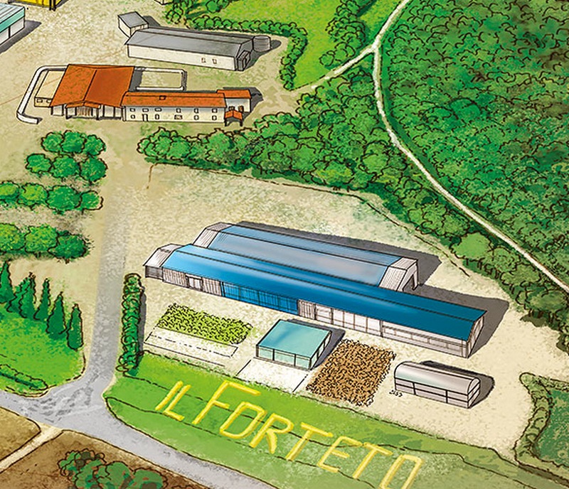 Forza Italia. 'Portare fino all'Onu il Corto Circuito Istituzionale' del Forteto