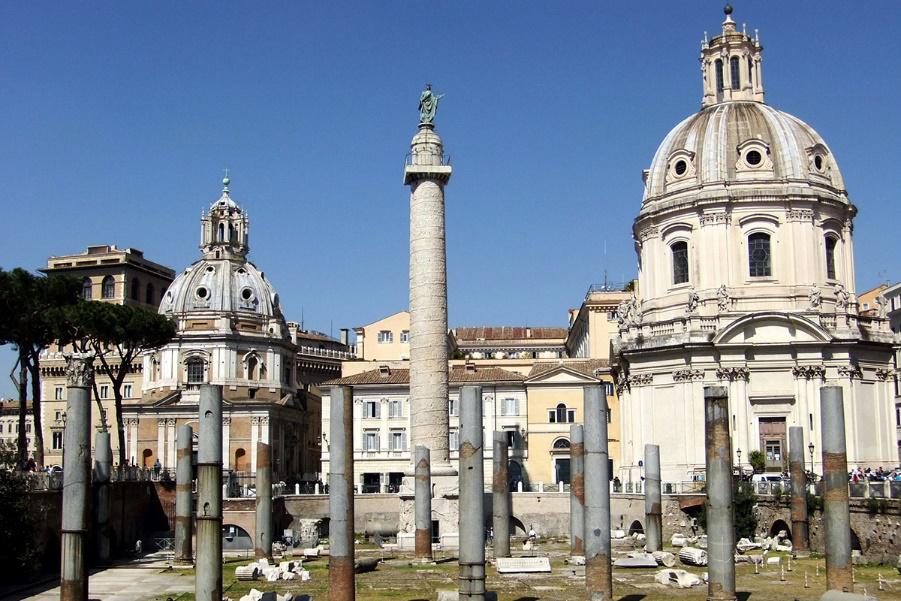 giotto ulivi roma badiali 6