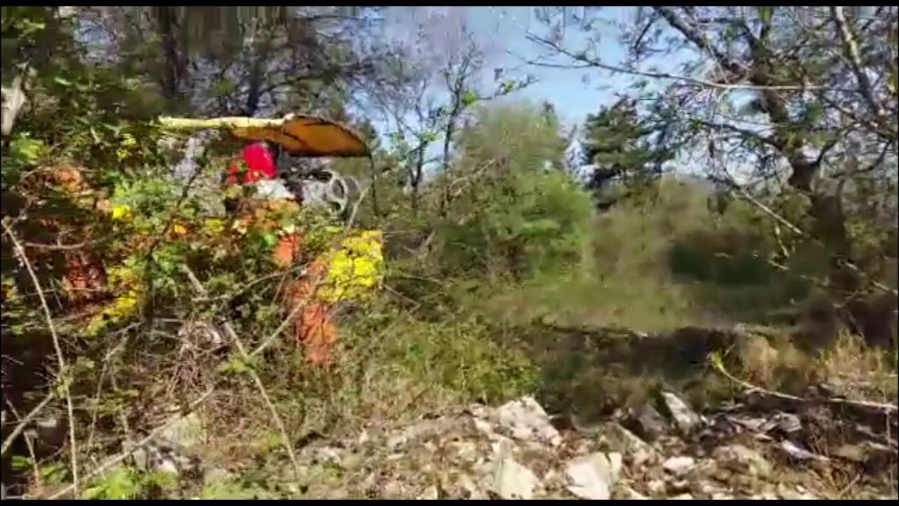 Esercitazione antincendio a Monte Morello. Il video