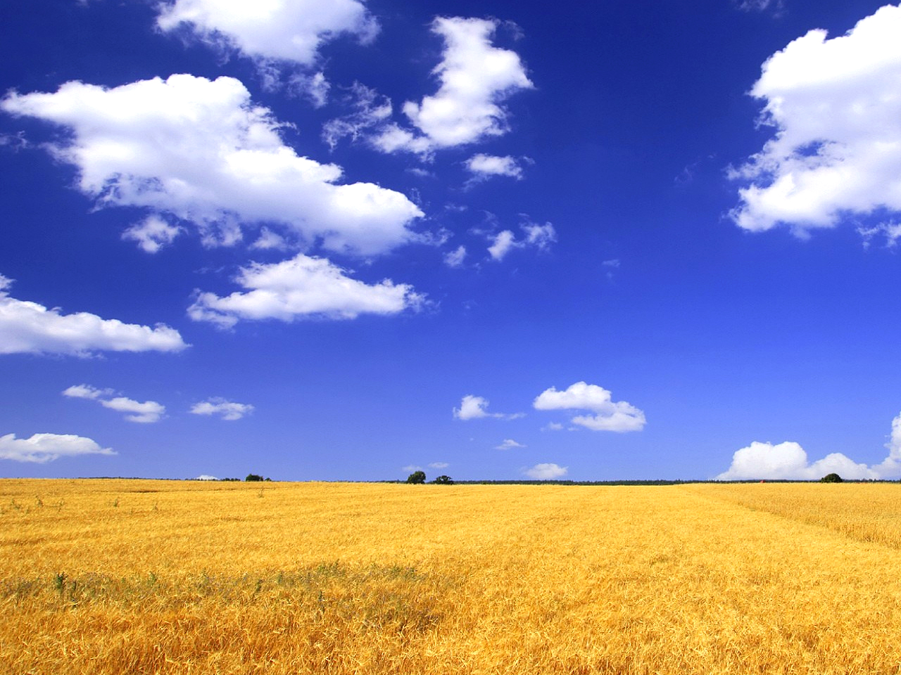 Giorno & Notte. Tutto il fine settimana in Mugello dal 6 all'8 settembre