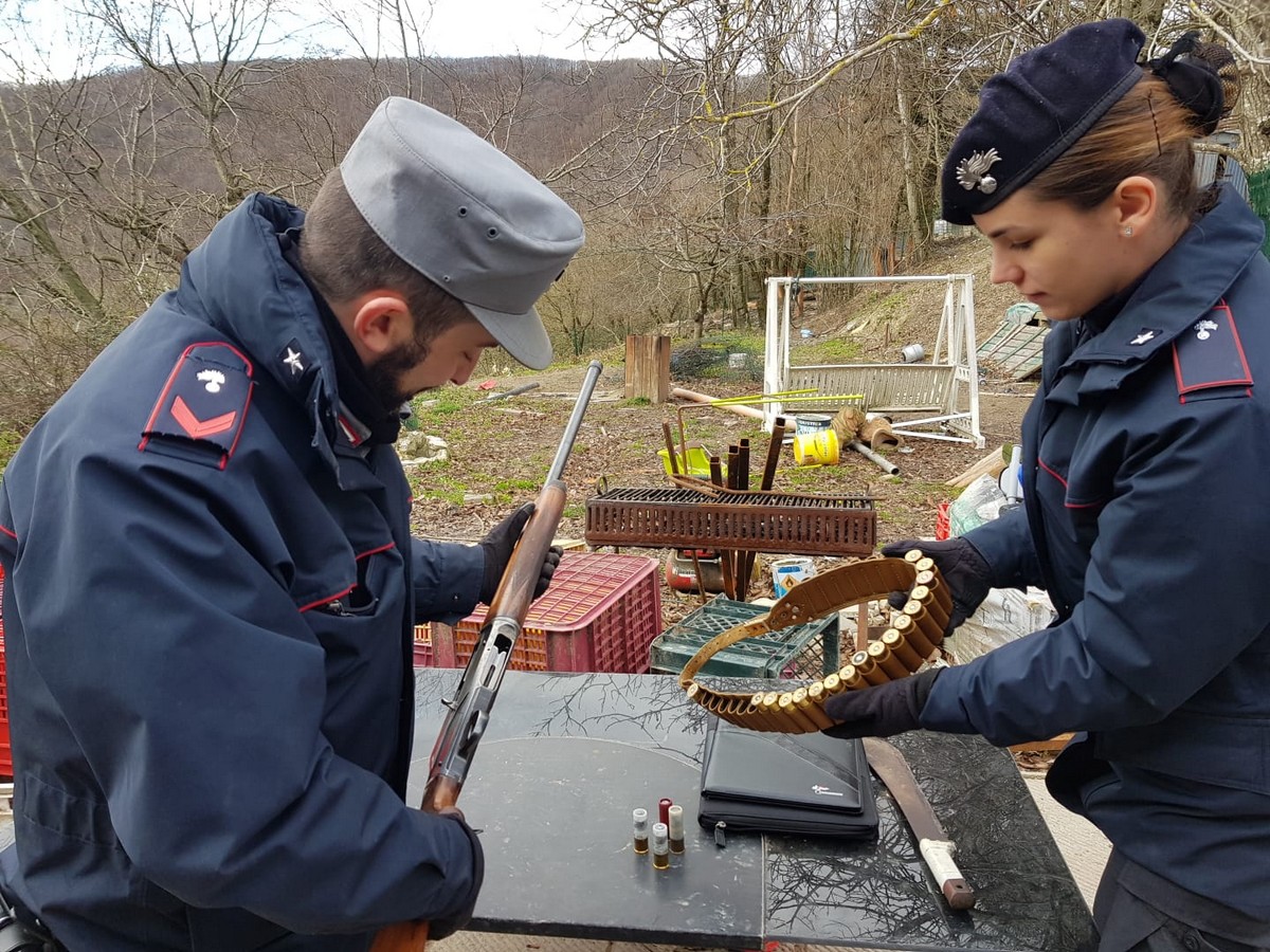 Traffico di cuccioli (e non solo). Allevamento nei guai e tre denunciati a Barberino