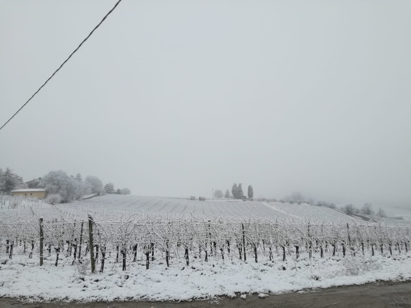 Neve a Torri 1