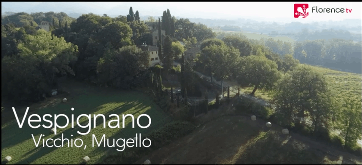 Scorci mugellani. La Casa di Giotto e Vespignano visti dal drone