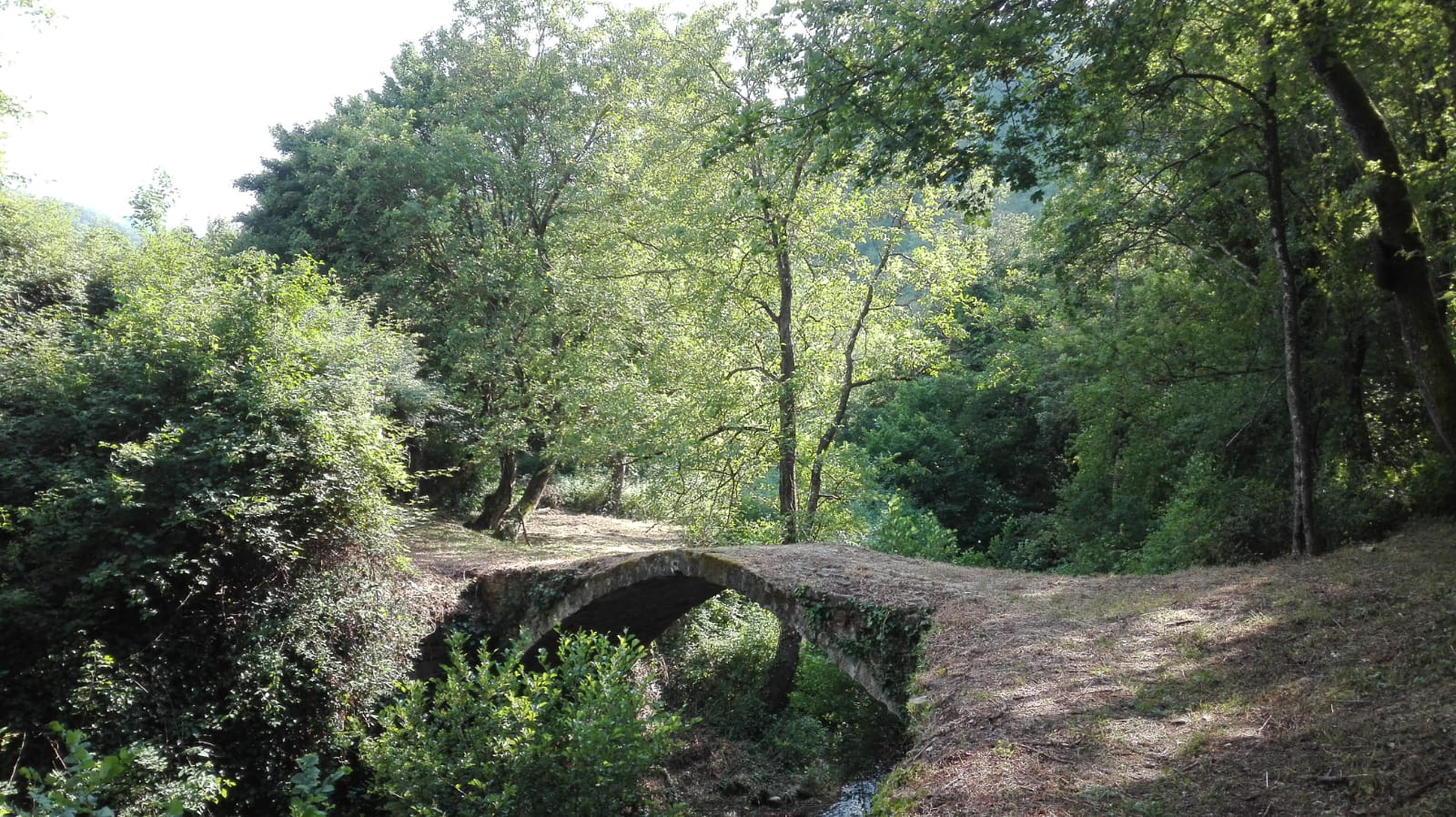 Ponte del cicaleto
