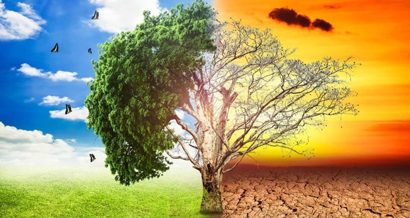 Giustizia ambientale