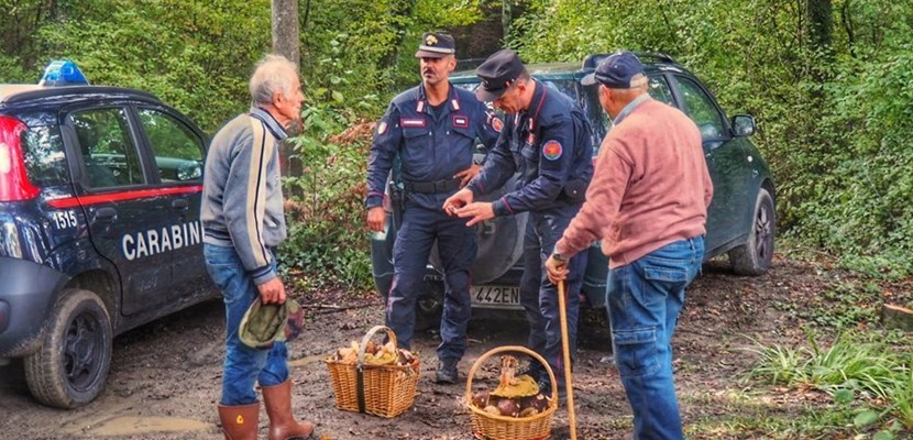 Controlli per la raccolta funghi