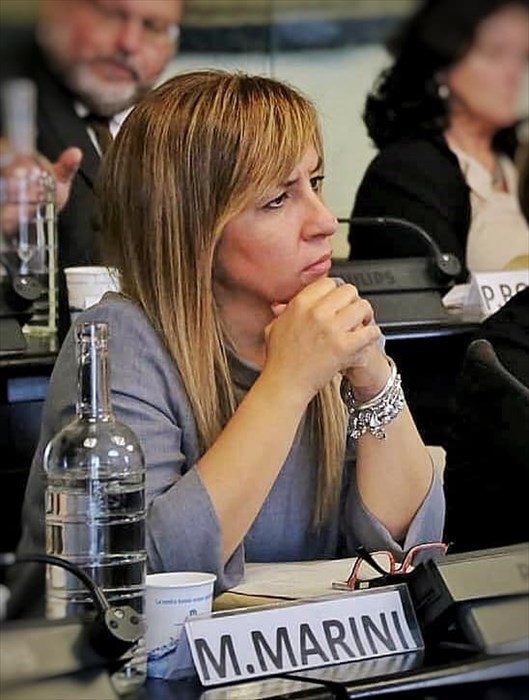 Monica Marini, nel Consiglio della Città Metropolitana di Firenze