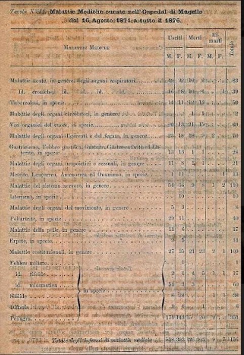 Schema delle malattie curate fra il 1871 e il 1876 all’Ospedale del Mugello a Luco.