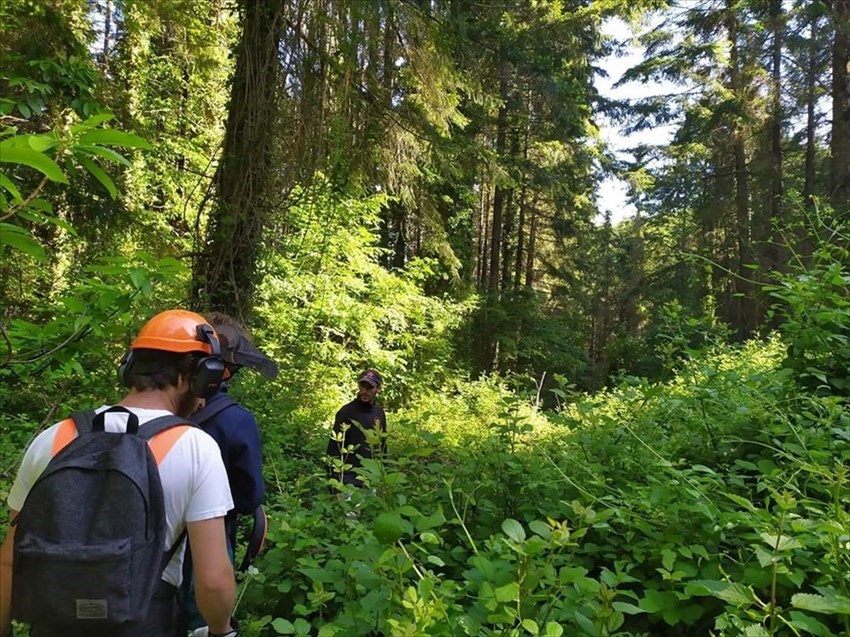 Sulle orme di San Francesco, ripulitura del sentiero che va da Pomino-Berceto (Madonna dei Fossi) a Borselli