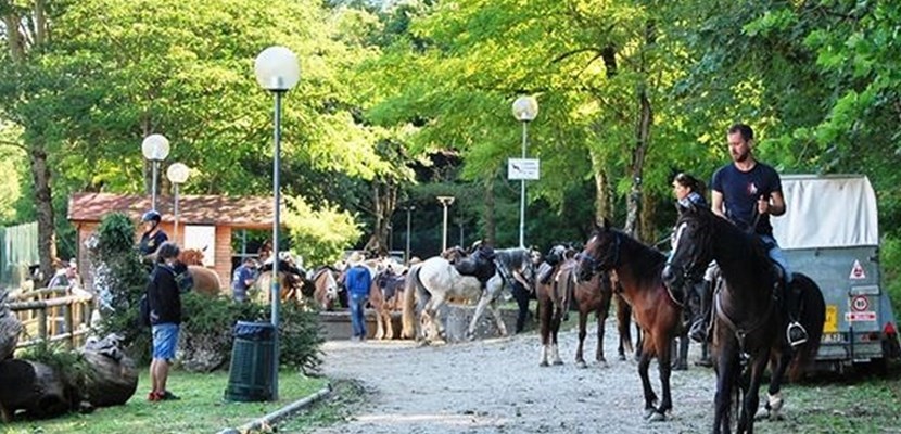 Cavalli e cavalieri a Palazzuolo