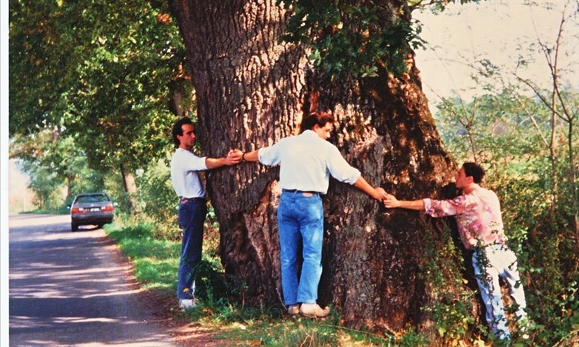 Quattro giovani borghigiani abbracciano la secolare “farnia” di Senni