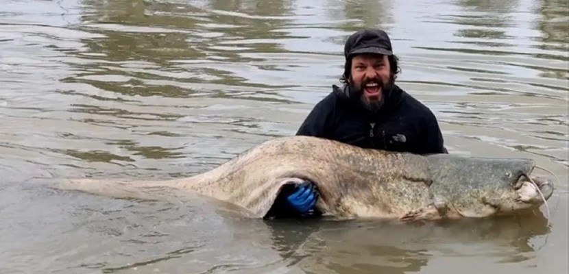 Pesce siluro da record pescato in Arno da un mugellano. La foto del Giorno