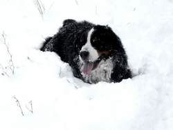 Buon Natale a tutti....