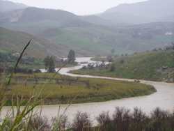 Sieve, livello 'record' a Dicomano