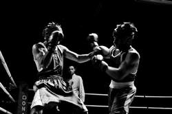 Grande serata di boxe a Sesto Fiorentino