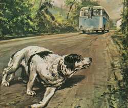 Fido, un video d'epoca.