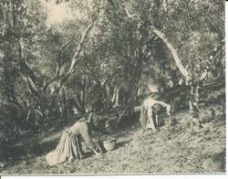 Scarperia. Decima edizione del Rotarolio