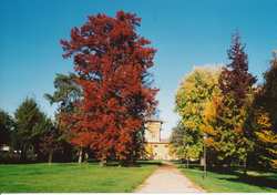 Settimane culturali a Villa Pecori Giraldi