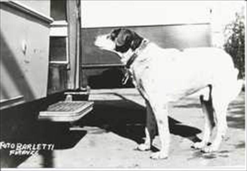 Borgo. La verità sulla statua di Fido