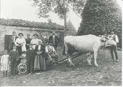 Una disgrazia a Vicchio, muore una bambina ( 1924)