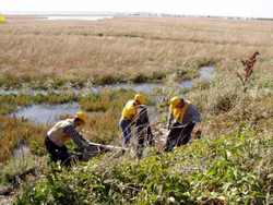 Domenica ecologica a Panicaglia. Si apre il dibattito