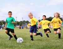 Arrivano i Fortis Camp....