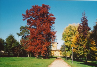 Sesta rete per Sant'omobono e Villa Pecori Giraldi