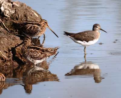 Mugello da scoprire. Un angolo incontaminato...