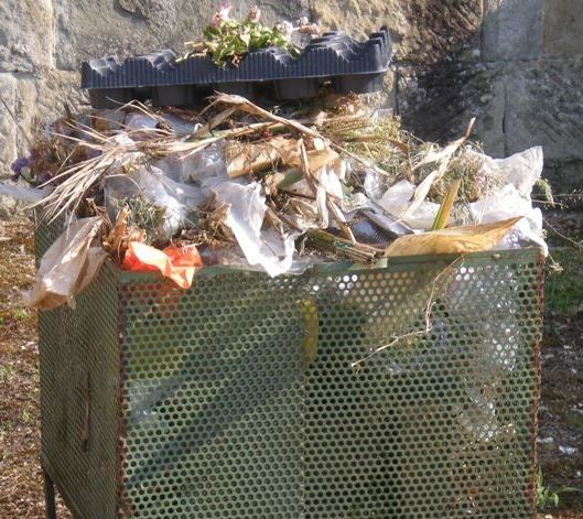 Salviamo il cimitero di San Cresci