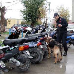 Controlli antidroga nelle scuole. Una nostra inchiesta e un comunicato di Rifondazione