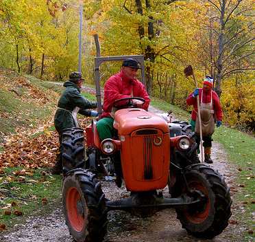 Un pomeriggio nel bosco a raccogliere i marroni. Come fare a Palazzuolo
