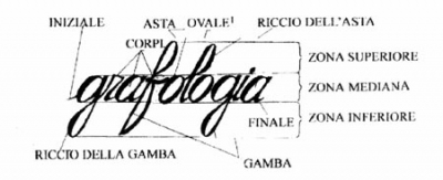 Venerdì 12, conferenza sulla grafologia