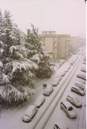 Neve sul Mugello, le vostre foto