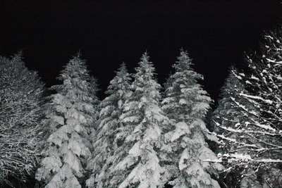 Meno quattro. Cronaca di un'escursione notturna al Passo della Colla