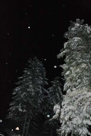Meno quattro. Cronaca di un'escursione notturna al Passo della Colla
