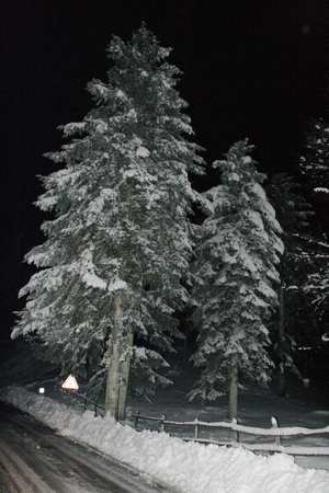 Meno quattro. Cronaca di un'escursione notturna al Passo della Colla