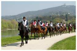 Il Mugello a cavallo. I percorsi dell'Ippovia Pegaso