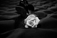 Morto Luigi Lorenzi, Comandante Partigiano della Formazione Fanfulla