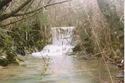 Finalmente i documenti del filosofo Antonio Cocchi in formato digitale