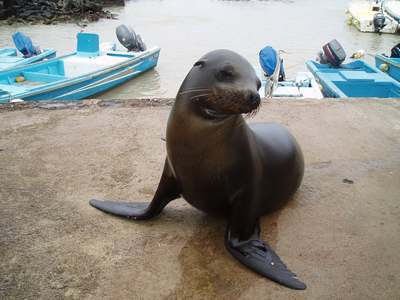 Mi metto in posa? La foto della settimana