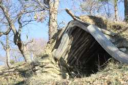 La primavera è già arrivata in Mugello? Sembra di sì, le foto