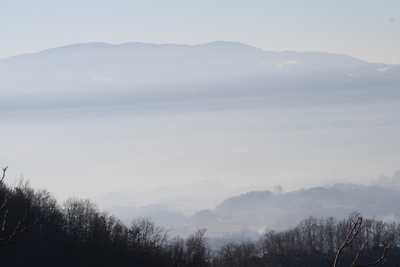 La primavera è già arrivata in Mugello? Sembra di sì, le foto